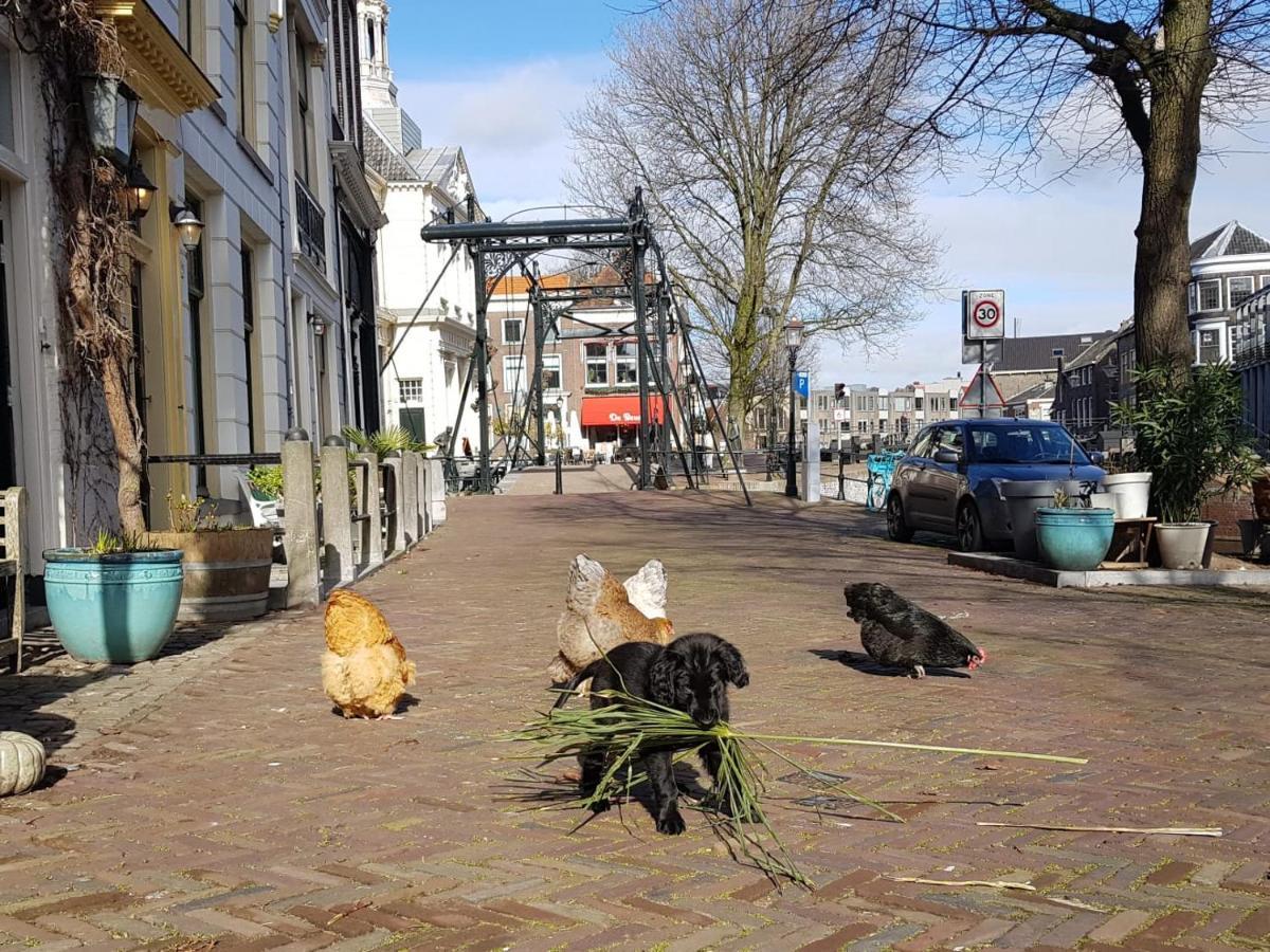 'T Hart Van Schiedam Ngoại thất bức ảnh